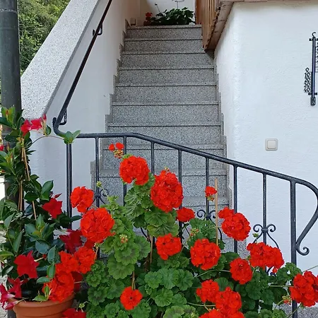 Haus Heistracher Διαμέρισμα Reit im Winkl